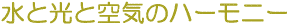 ƌƋC̃n[j[